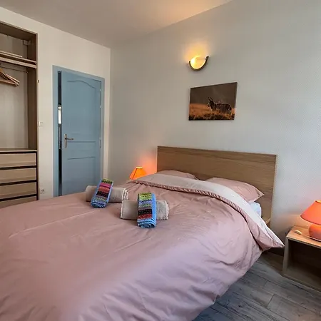 Apartament Proche Centre, Marches De Noel 10min A Pied, Parking Gratuit F2 Au Calme