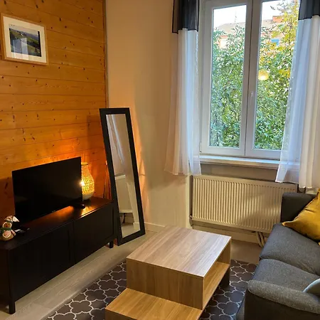 Apartament Proche Centre, Marches De Noel 10min A Pied, Parking Gratuit F2 Au Calme