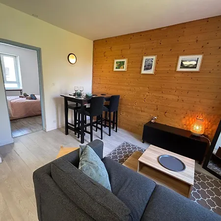 Διαμέρισμα Proche Centre, Marches De Noel 10min A Pied, Parking Gratuit F2 Au Calme *