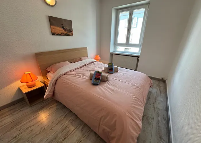 Daire Charmant T2 Au Calme, Parking, Proche Centre Colmar