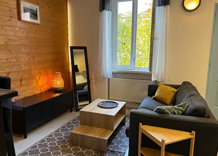 Charmant T2 Au Calme, Parking, Proche Centre Colmar