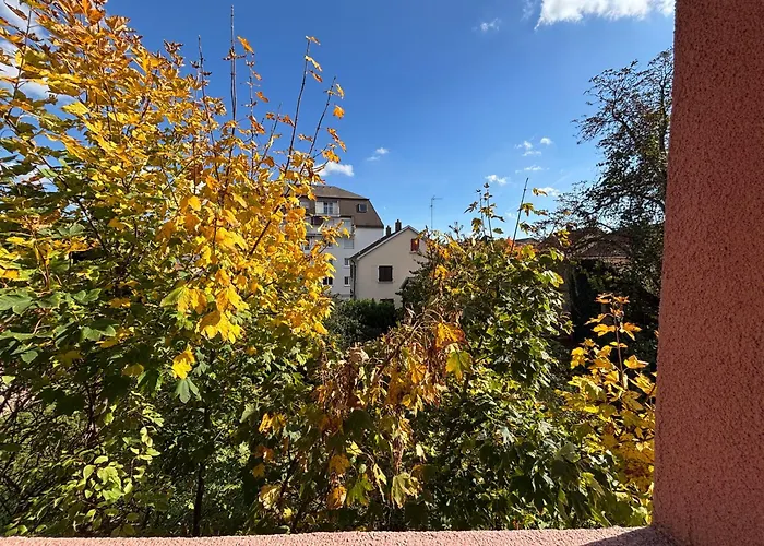 Daire Charmant T2 Au Calme, Parking, Proche Centre